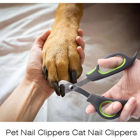 Coupe-ongles pour animaux de compagnie, coupe-griffes, coupe-ongles pour petits animaux (1/5)