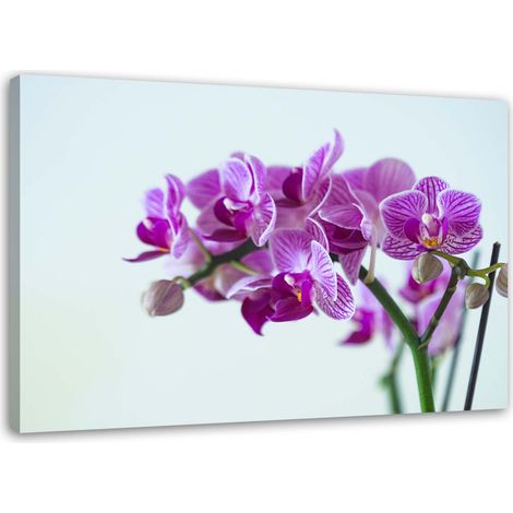 Tableau décoratif Orchidées roses 60x40 (1/5)