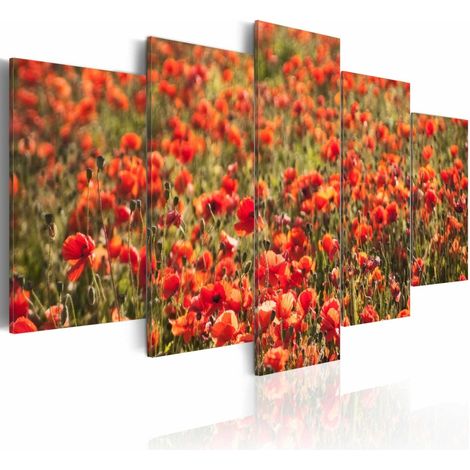 Tableau coquelicots rouges dans la prairie verte - 200 x 100 cm (1/4)