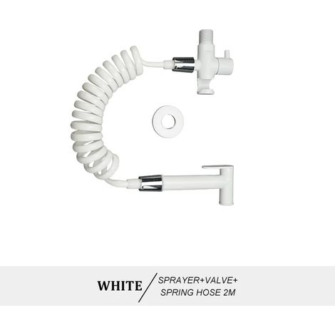 (Type B blanc) Douchette WC portable en laiton, fixation murale, finition or brossé, autonettoyante (1/5)