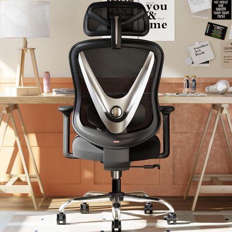 Ergonomischer Bürostuhl mit 3D Lendenstütze & verstellbaren Armlehnen, Schwarz (1/5)