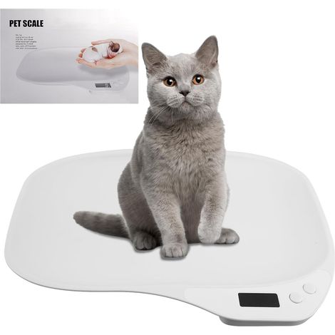 Balance pour Animaux et Pèse-Personne Numérique (1/5)