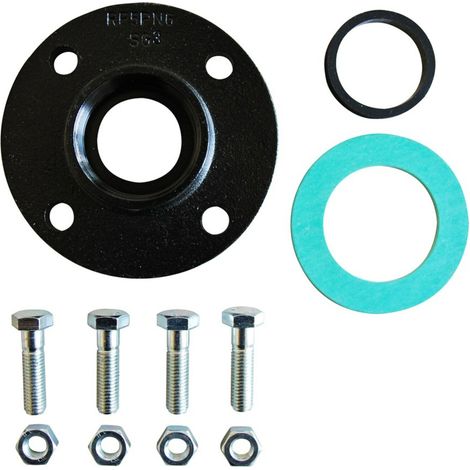Flanschring RF 5 110787197 (1/3)