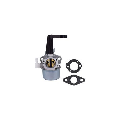 Vergaser-Reparatursatz, 696065 697422 Vergaser mit Montagedichtungssatz, kompatibel mit Briggs & Stratton 110402 110412 215369 Motorhackenvergaser für Motorhackenmotoren, kompatibel mit Troy Genera (1/5)