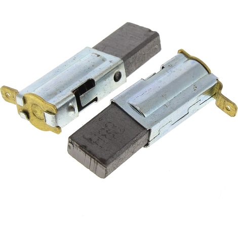 Charbons par 2 15,5x13x6,5 - broyeur vegetaux