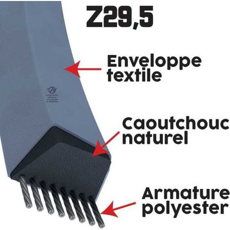 Courroie tondeuse Z29,5 Trapézoïdale 10 mm x 787 mm (1/5)