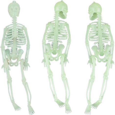 8-teiliges Halloween-Skelett für Halloween-Dekorationen