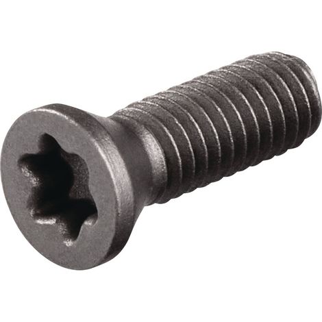 Spannschraube  US3510  Gr.T15  TECWERK (1/2)