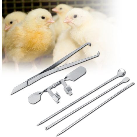 Strumento rapido per la castrazione dei polli – strumento veterinario in acciaio al carbonio per l'allevamento avicolo (modello standard per polli, in acciaio al carbonio)