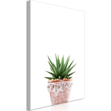 Tableau Succulentes En Pot (1 Partie) Vertical - 80 x 120 cm (1/4)