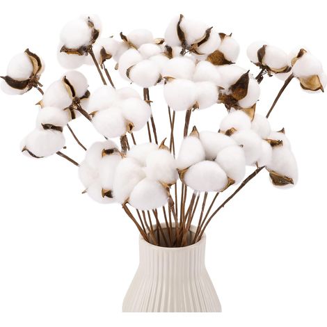 Tiges De Coton Séché - 20 Pièces - Tige En Fil De Fer Recouverte De Papier - Boule De Coton Naturel Et Rayonne - 15 À 16 Pouces - Décoration Intérieure Fermière