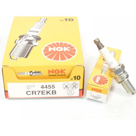 Zündkerze ngk für Roller Piaggio 500 beverly nach 2003 neu (1/4)