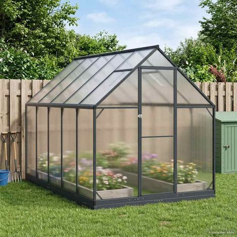 vidaXL Serre de jardin avec porte Anthracite 183,5 x 303,5 x 207 cm