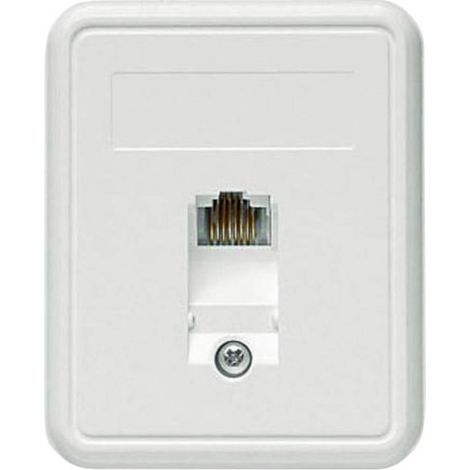 Telegärtner Presa di rete Da parete CAT 5e 1 Porta Bianco alpino