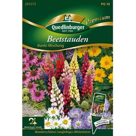 Quedlinburger Beetstauden Bunte Mischung - Premium Blumensamen (1/2)