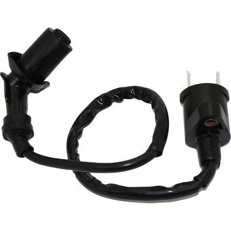 Bobina de encendido para GY6 50cc-150cc Honda Taotao Kymco Scooter ciclomotor Go Kart 120 grados (1/2)