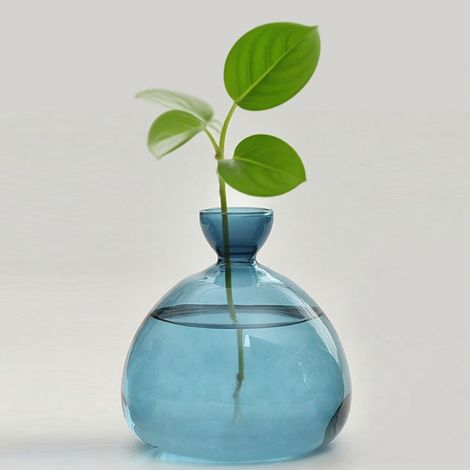 Vase Hydroponique - 1 Pièce - Verre - Germination Graines - Culture Intérieure - Bleu (1/5)
