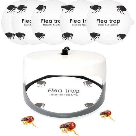 5 Stück Flohfallen-Aufkleber, runde, klebrige Fliegenfallen, Kuppel-Flohfalle, Nachfüllpackung für Zuhause, Schlafzimmer, Haustierhaus (1/5)