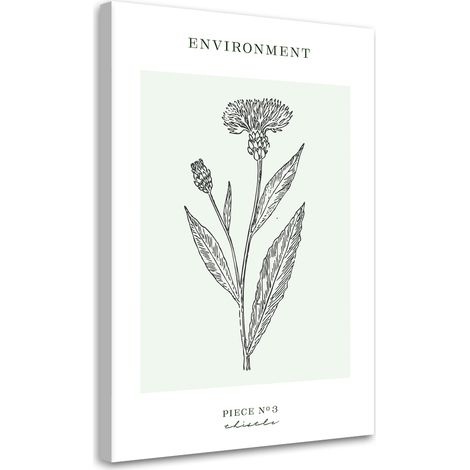 Tableau sur toile Fleur de chardon - Environnement 40x60 (1/5)