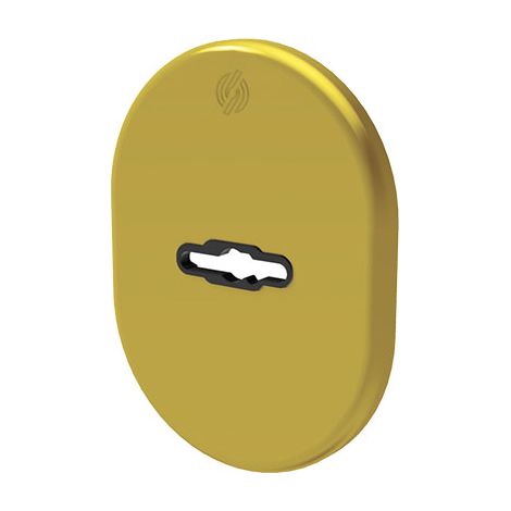 MOSTRINA PORTA BLINDATA 4301 SECUREMME - DM OTTONE LUCIDO MM 82X62- 5 pezzi