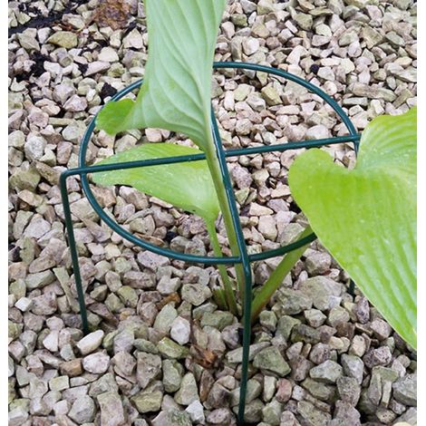 Medium Simple Ring (Pack of 4) - Steel - L40.6 x W40.6 x H50.8 cm - Green
