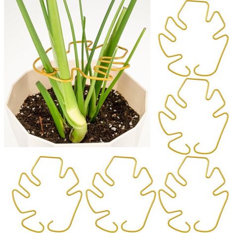 Support pour plante Monstera, lot de 5, métal doré, réglable pour plantes d'intérieur, stabilisateur de tige, pour Monstera et oiseau de paradis, 16 x 18 cm (1/5)