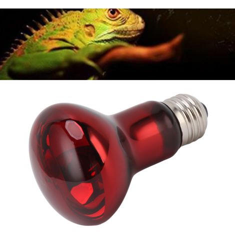 E27-Glühbirne für Amphibien, Schlangen und Reptilien, Glühlampe, Wärmelampe, Nachtlicht, Tageslichtlampe, 50 W (1/5)