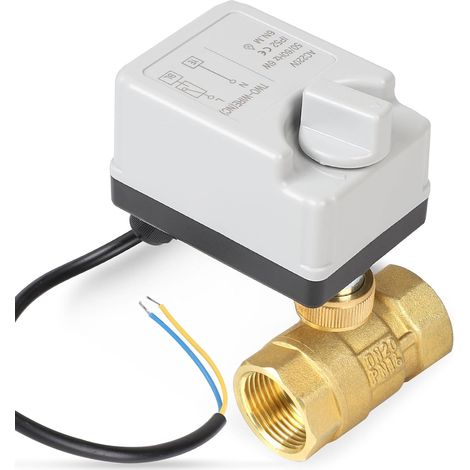 Vanne Motorisee 2 Voies avec Fonction Manuelle, DN20 3/4 de Pouce AC220V Vanne de Zone Laiton (1/5)