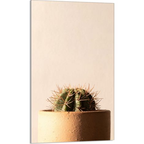 TAGLIERE IN VETRO 30x52 Cactus (1/5)