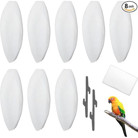 Os de Seiche, Os de Seiche Oiseaux, Adapté aux Oiseaux, Aux Tortues et aux Reptiles, 9-12 cm (1/5)