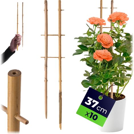 Support d'échelle en bambou, hauteur de 37 cm, 10 pièces, Convient à diverses plantes, Soutient les plantes contre le vent et la pluie, Matériau durable (1/5)