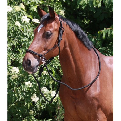 Licol Waldhausen knotted halter corde douce réglable