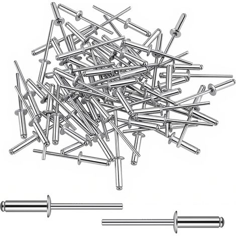 150 rivets pop en aluminium de 2 x 19 mm (1/5)