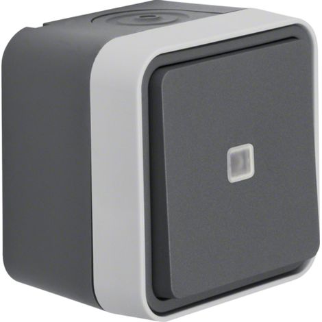 Berker 30763525 interruptor de luz Gris