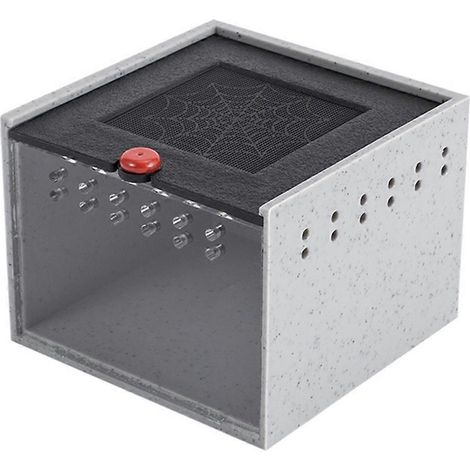 Enclos pour araignées, petite boîte d'élevage d'insectes A-- (1/5)