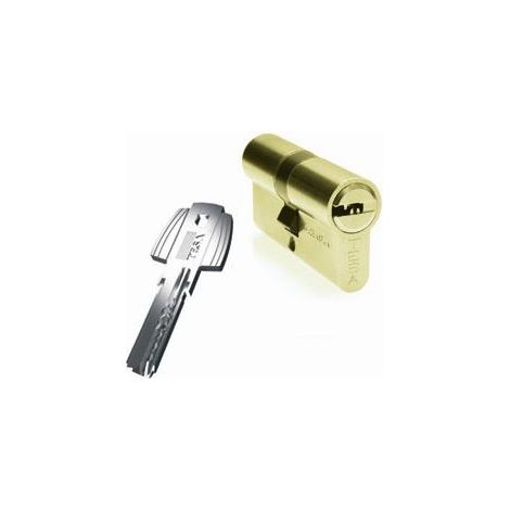 TESA BOMBILLO SEGURIDAD T60 30X30 LATON MED.CILINDRO 30X30 ACABADOS LATON
