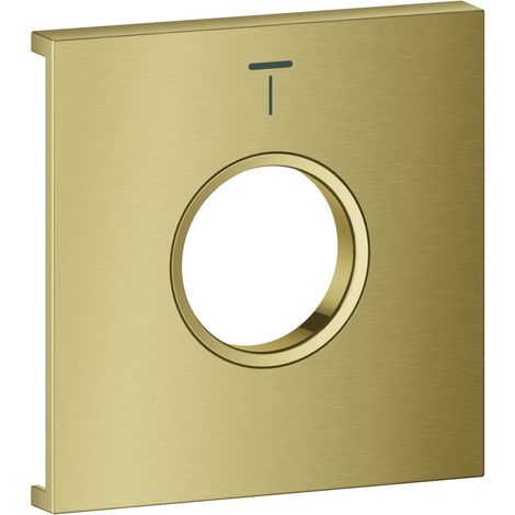 Grohe Grohtherm Aqua Tiles Metallplatte, Symbol Kopfbrause 4 für Grohtherm Aqua Tiles UP-Thermostate, Cool Sunrise gebürstet (1/3)