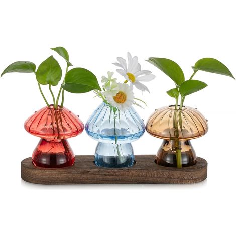 Station de Propagation en Verre pour Intérieur: 3 Coloré Champignon Deco Vase Fleur avec Plateau en Bois pour Maison Table - Terrarium Plante Vases Hydroponie pour Maman Amoureux des Plantes (1/5)