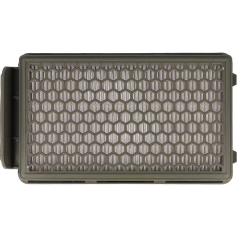 vhbw filtro compatibile con Rowenta RO394, RO395, RO3951EA, RO3953EA, RO3955EA, RO396 aspirapolvere - filtro HEPA anallergico