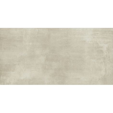 Baltimore Matt Ceniza 60cm x 120cm Porcelain Wall And Floor Tile