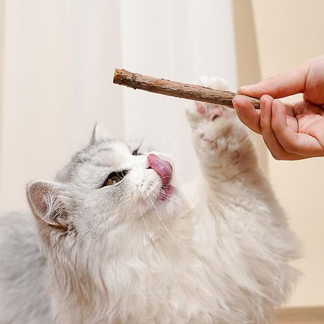 btonnets Herbe  Chat, Btonnets Herbe  Chat Pour Grincer Des Dents, 30 Btons Btonnets  Mcher , Baton Chat, Jouets Pour Chats, Jouets Molaires De Ch (1/5)