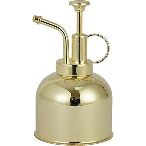 Vaporisateur pour plantes d'intérieur - Flacon pulvérisateur en acier inoxydable pour plantes d'intérieur (1/5)
