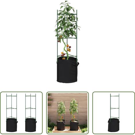 Cage de plantes - Cage à tomates avec sac à plantes 2 pcs 116 cm acier et PP (1/5)