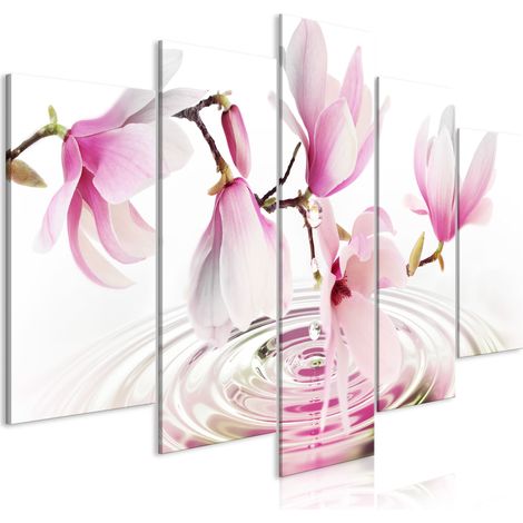 Immagine - Magnolie vicino all'acqua (5 pezzi) rosa largo (1/3)