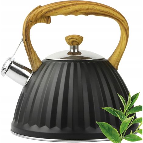 Hervidor de acero tradicional con mango de imitación madera para inducción de gas.