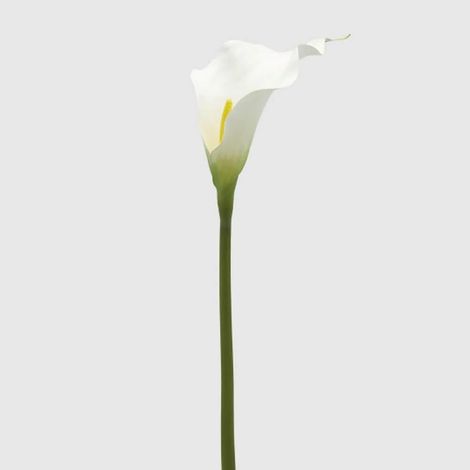EDG Calla Ramo H 65 Cm (1/2)