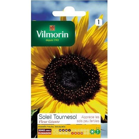 Sachet graines Soleil tournesol fleur géante (1/3)