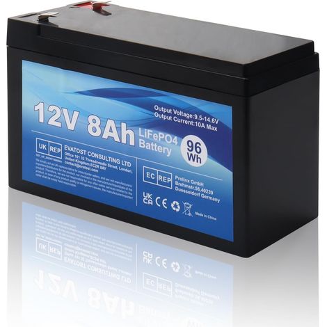 Batterie rechargeable LiFePO4 12 V 8 Ah au lithium fer phosphate avec BMS pour voiture d'enfant, cycle profond 4000 pour stock d'énergie solaire, application hors réseau, camping (1/5)