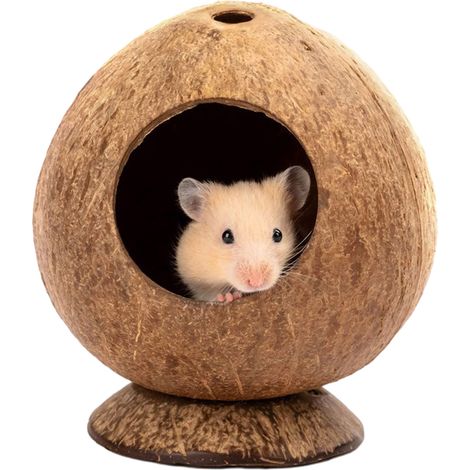 Maison En Coquille De Noix De Coco - Abri Pour Hamster Gerbilles Souris - Décor Naturel Pour Cage D Animaux - 1 Pièce (1/5)