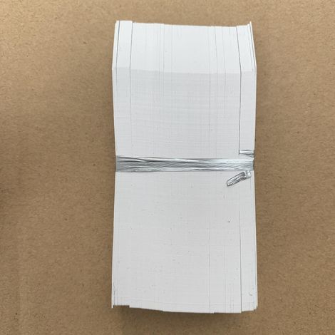 100 Pices Tiquettes- Blanc Pour Plantes De Jardin En Plastique Etiquette Semis De 2x10cm (1/5)
